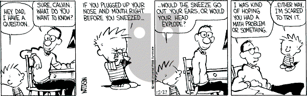 Calvin and Hobbes - Saturday December 27, 1986 Comic Strip
