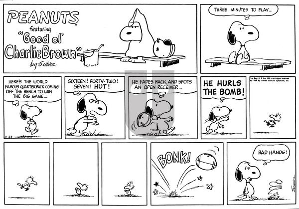 Peanuts on Sunday November 23, 1969 Comic Strip