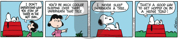 Peanuts on Monday July 8, 2002 Comic Strip