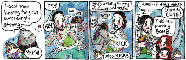 Breaking Cat News - Saturday November 5, 2022 Comic Strip