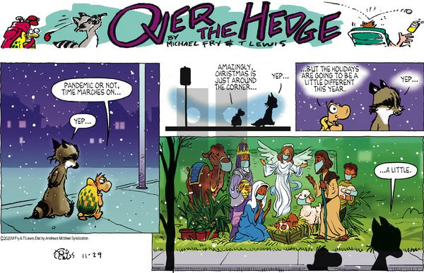 Over the Hedge on Sunday November 29, 2020 Comic Strip
