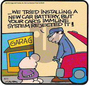 Ziggy on Tuesday August 11, 2009 Comic Strip