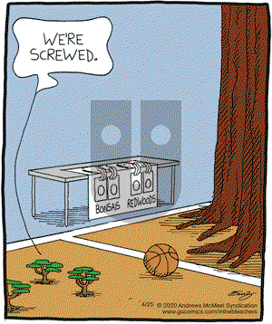 In the Bleachers on Saturday April 25, 2020 Comic Strip