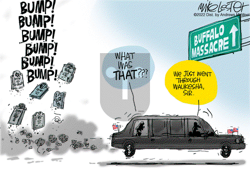 Mike Lester - Tuesday May 17, 2022 Comic Strip