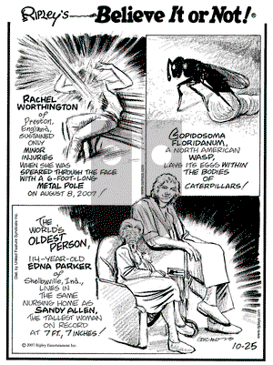 Ripley's Believe It or Not on Thursday October 25, 2007 Comic Strip