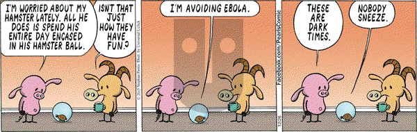 Pearls Before Swine on Saturday December 26, 2015 Comic Strip