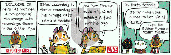 Breaking Cat News on Monday October 14, 2019 Comic Strip