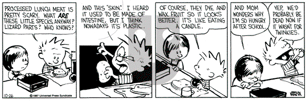Calvin and Hobbes on Monday October 26, 1987 Comic Strip