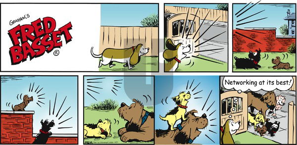 Fred Basset on Sunday April 21, 2013 Comic Strip