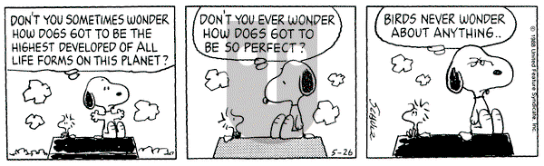 Peanuts on Thursday May 26, 1988 Comic Strip