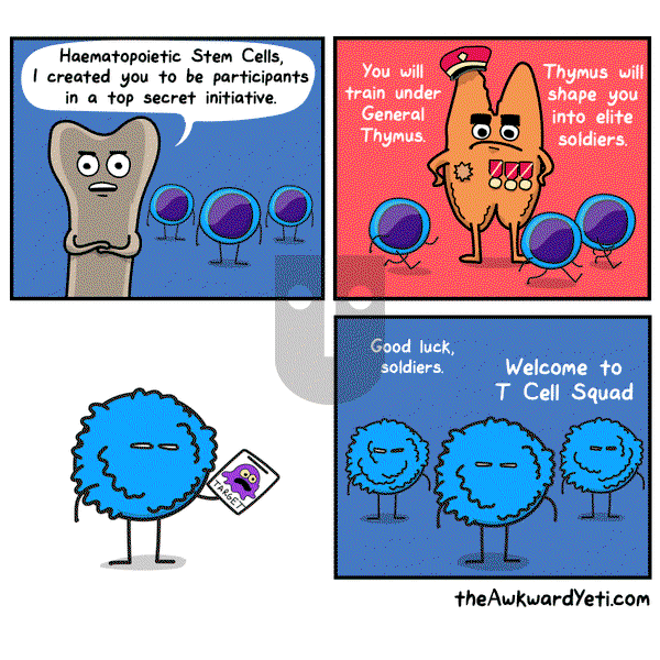 The Awkward Yeti on Wednesday December 21, 2016 Comic Strip
