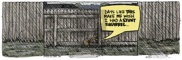 Bob the Squirrel on Wednesday April 30, 2025 Comic Strip