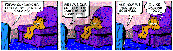 Garfield on Wednesday November 30, 1994 Comic Strip