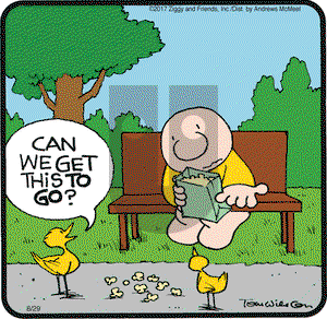 Ziggy on Tuesday August 29, 2017 Comic Strip