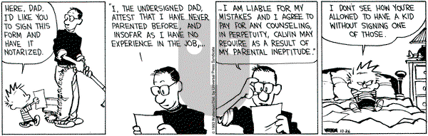 Calvin and Hobbes on Tuesday October 26, 1993 Comic Strip