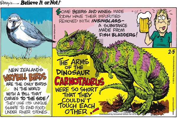Ripley's Believe It or Not on Sunday February 5, 2012 Comic Strip