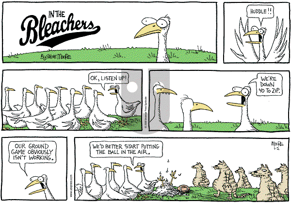 In the Bleachers on Sunday January 2, 2000 Comic Strip