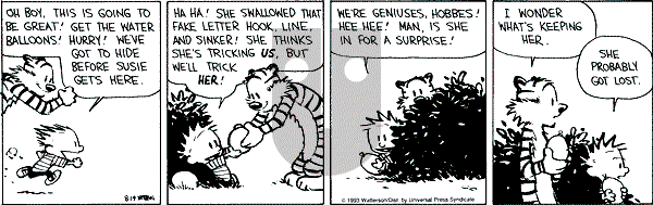 Calvin and Hobbes - Saturday August 14, 1993 Comic Strip