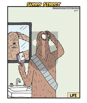 Sunny Street on Sunday December 13, 2015 Comic Strip
