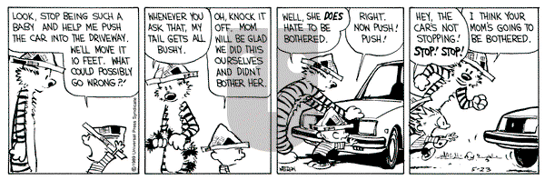 Calvin and Hobbes on Tuesday May 23, 1989 Comic Strip