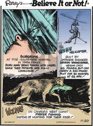 Ripley's Believe It or Not - Thursday November 20, 2008 Comic Strip