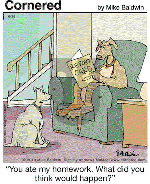 Cornered on Friday June 28, 2019 Comic Strip