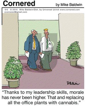 Cornered on Monday June 6, 2016 Comic Strip