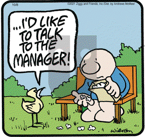 Ziggy on Friday October 8, 2021 Comic Strip