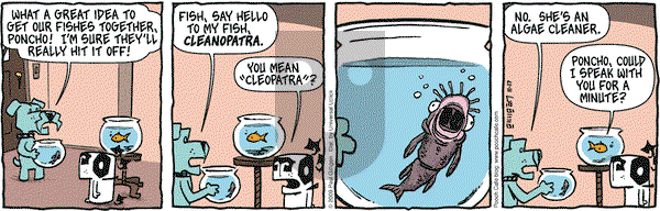 Pooch Cafe on Tuesday November 17, 2009 Comic Strip