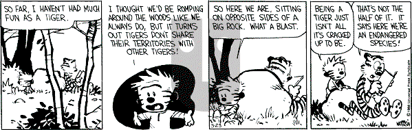 Calvin and Hobbes - Wednesday March 23, 1988 Comic Strip