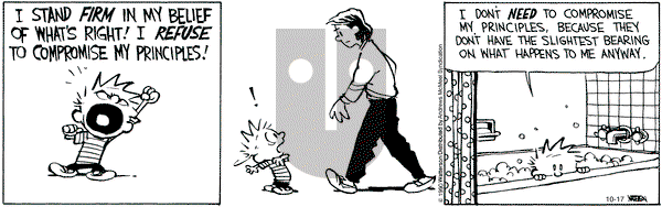 Calvin and Hobbes - Saturday October 17, 2020 Comic Strip