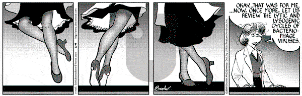 9 Chickweed Lane on Tuesday February 19, 2002 Comic Strip