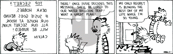 Calvin and Hobbes - Saturday August 7, 1993 Comic Strip