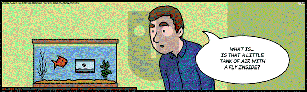 F Minus - Saturday October 8, 2022 Comic Strip