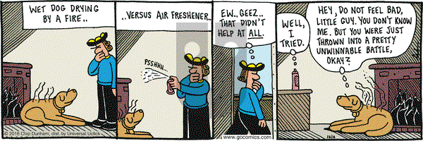 Overboard on Friday December 2, 2016 Comic Strip
