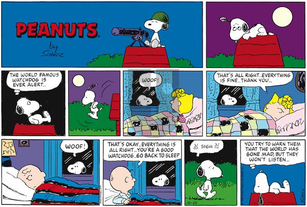 Peanuts on Sunday October 25, 1998 Comic Strip