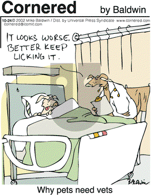Cornered on Thursday October 24, 2002 Comic Strip