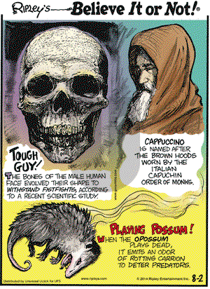 Ripley's Believe It or Not on Saturday August 2, 2014 Comic Strip