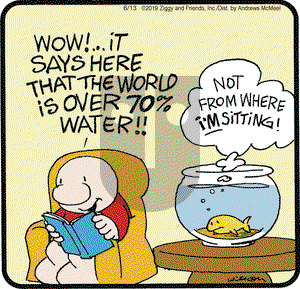 Ziggy on Thursday June 13, 2019 Comic Strip