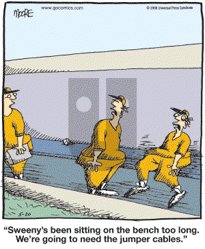 In the Bleachers - Tuesday May 20, 2008 Comic Strip