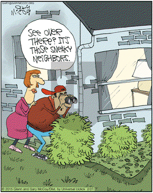 The Flying McCoys on Saturday February 21, 2015 Comic Strip