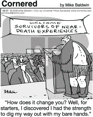 Cornered on Friday October 17, 2008 Comic Strip