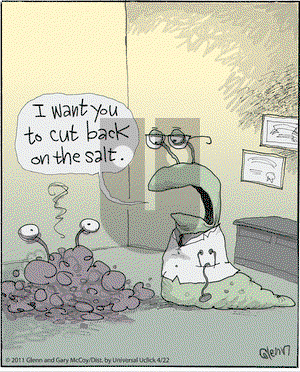 The Flying McCoys on Friday April 22, 2011 Comic Strip