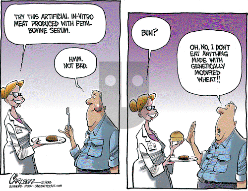 Stuart Carlson on Friday August 9, 2013 Comic Strip
