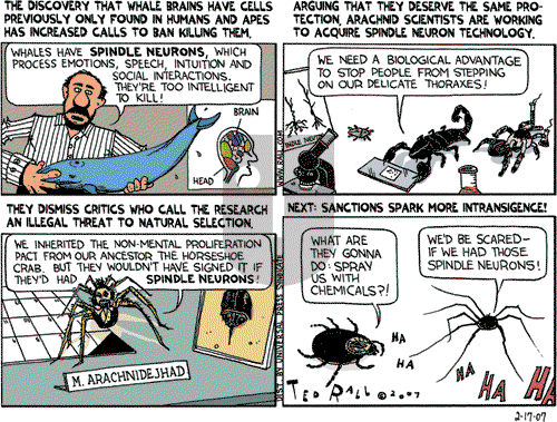 Ted Rall on Saturday February 17, 2007 Comic Strip