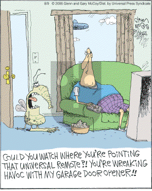 The Flying McCoys on Wednesday August 9, 2006 Comic Strip