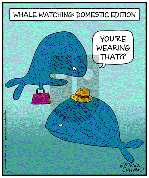 Half Full on Friday October 10, 2014 Comic Strip
