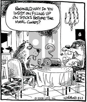 Reality Check on Saturday August 23, 2008 Comic Strip