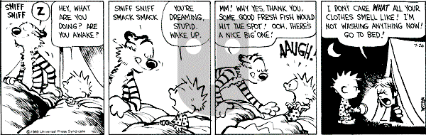 Calvin and Hobbes - Wednesday July 26, 1989 Comic Strip