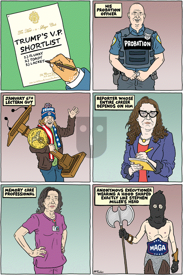 Brian McFadden on Tuesday June 25, 2024 Comic Strip